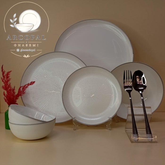 سرویس آرکوپال آرنا طوسی