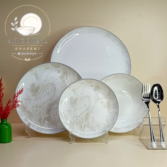 سرویس آرکوپال طوطی