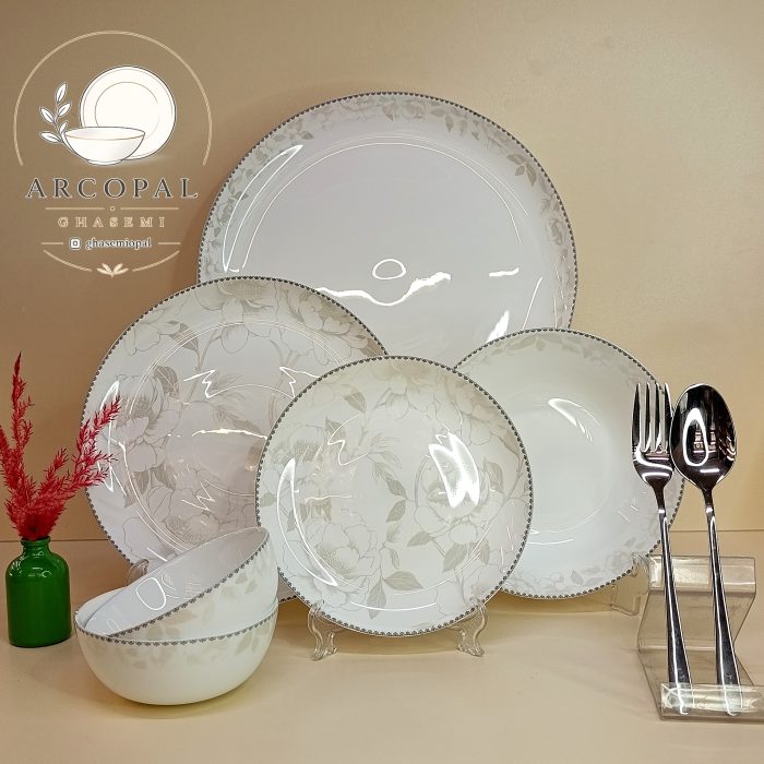 سرویس آرکوپال شاینا
