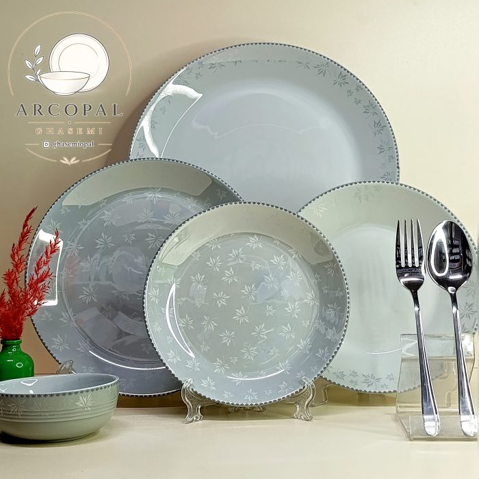 سرویس آرکوپال گلبرگ طوسی